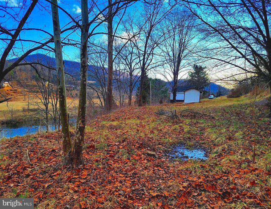 RIVER FRONT! Let me say that again, RIVER FRONT! 7.94 acres of unrestricted land that fronts the South Branch Potomac River for about a half mile. This is an amazing opportunity to build that dream weekend get-away or full time home with private access to the river and beautiful mountain views. You can walk out to your backyard and let the busy world slip away as you get to watch the sun rise from behind the mountains with the relaxing sound of the river. There is a small island that splits the river that you can venture out to. You can make it a place to hang out while you fish or play in the water.  A build site lays outside of the flood plain with a retaining wall in place. There is an oversized garage, paved driveway, a shed and an outdoor brick grill already in place. Your options are endless with this property, whether you want to build an airbnb, a forever home, camp site, a business or whatever dreams you want to bring to fruition. Fishermen, water lovers, outdoor enthusiasts and nature lovers enjoy coming to Franklin for its beauty and many recreational opportunities because of it's location in the Monongahela, George Washington, and Jefferson National Forests.