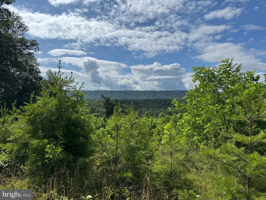 This one is all about the view!  Property is located just a short distance from the South Branch of the Potomac River off of Rt 28 between the towns of Historic Romney and Springfield WV.  This property is currently being used for recreation but could be that perfect spot for your full time home.  There is electric on the property and only about 1/2 hour from Cumberland Md.