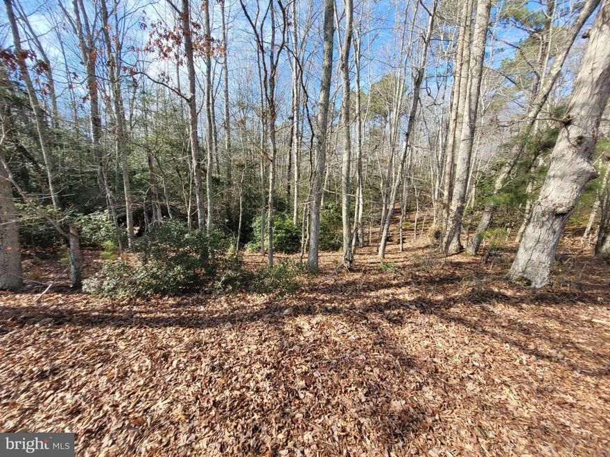This 5.85+/- acre wooded lot in the Wicomico District of Northumberland County offers a peaceful, private setting, ideal for building your dream home. With plenty of space to enjoy nature and the quiet rural lifestyle, this property provides great potential. Take advantage of this opportunity to own a beautiful piece of land in a tranquil area.