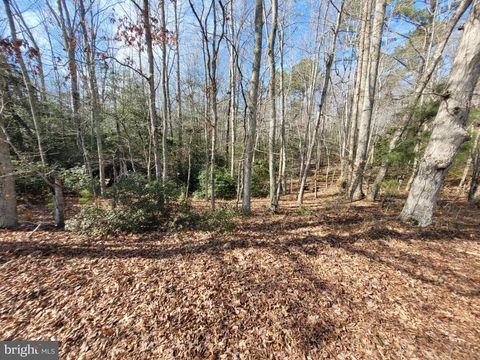 Vacant Land For Sale - 00A Bogey Neck Rd<br/> HEATHSVILLE, VA 22473