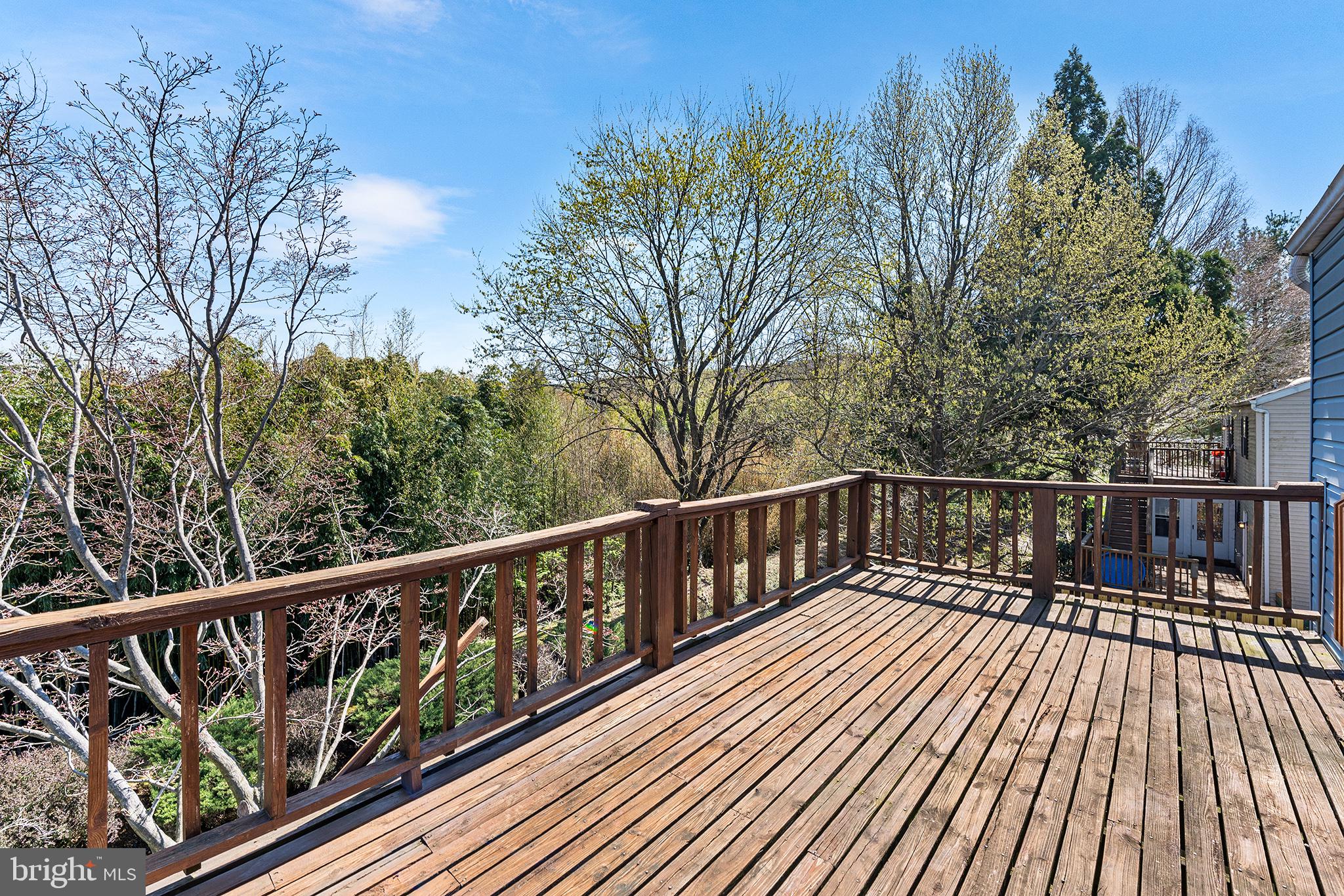 SPRINGETTSBURY TWP - Residential