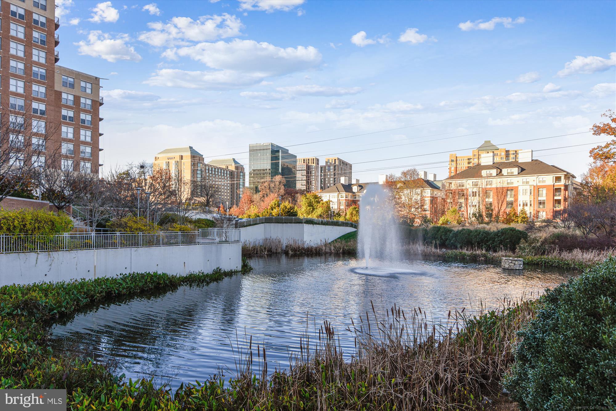CARLTON HOUSE - Residential