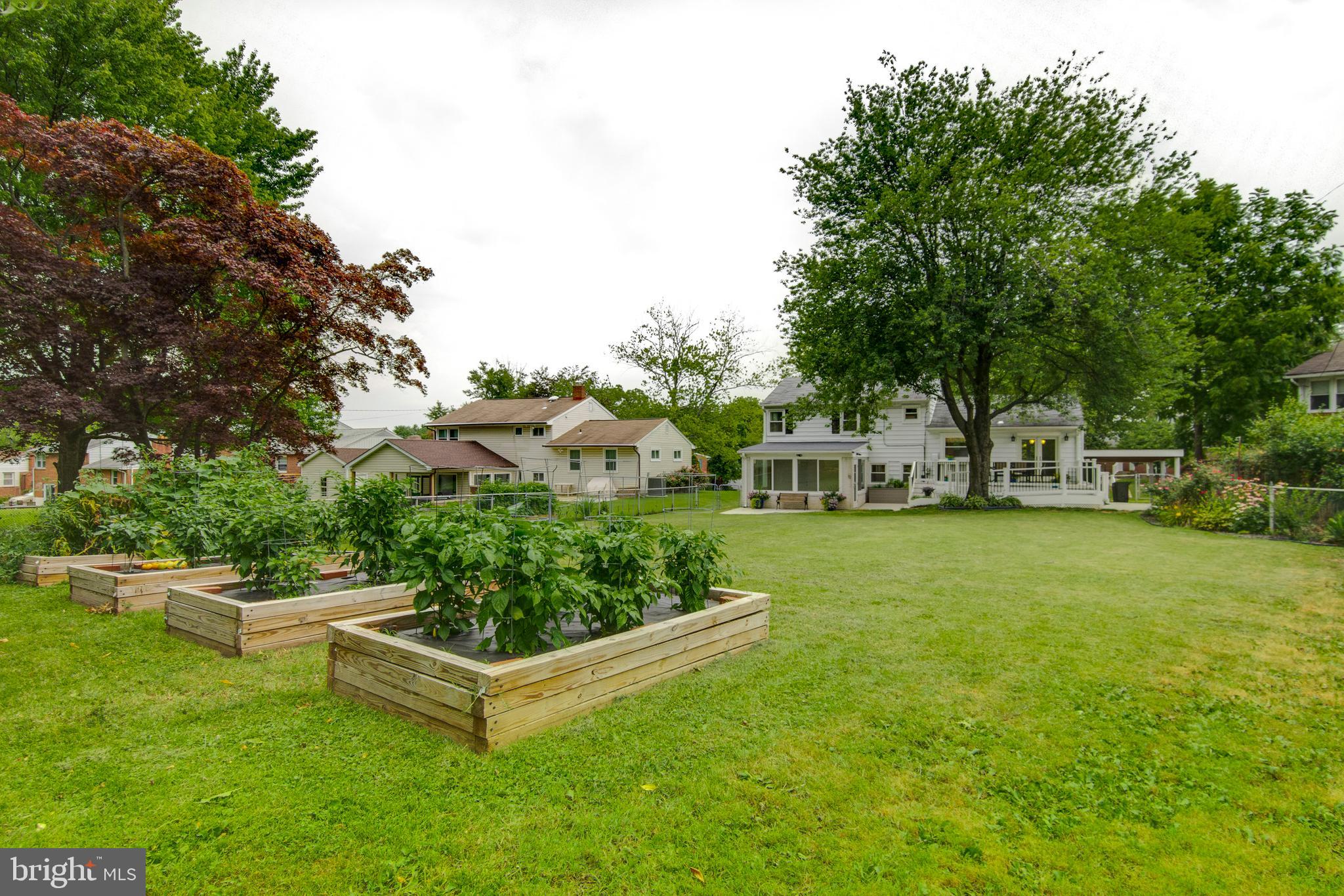 DULANEY VILLAGE - Residential