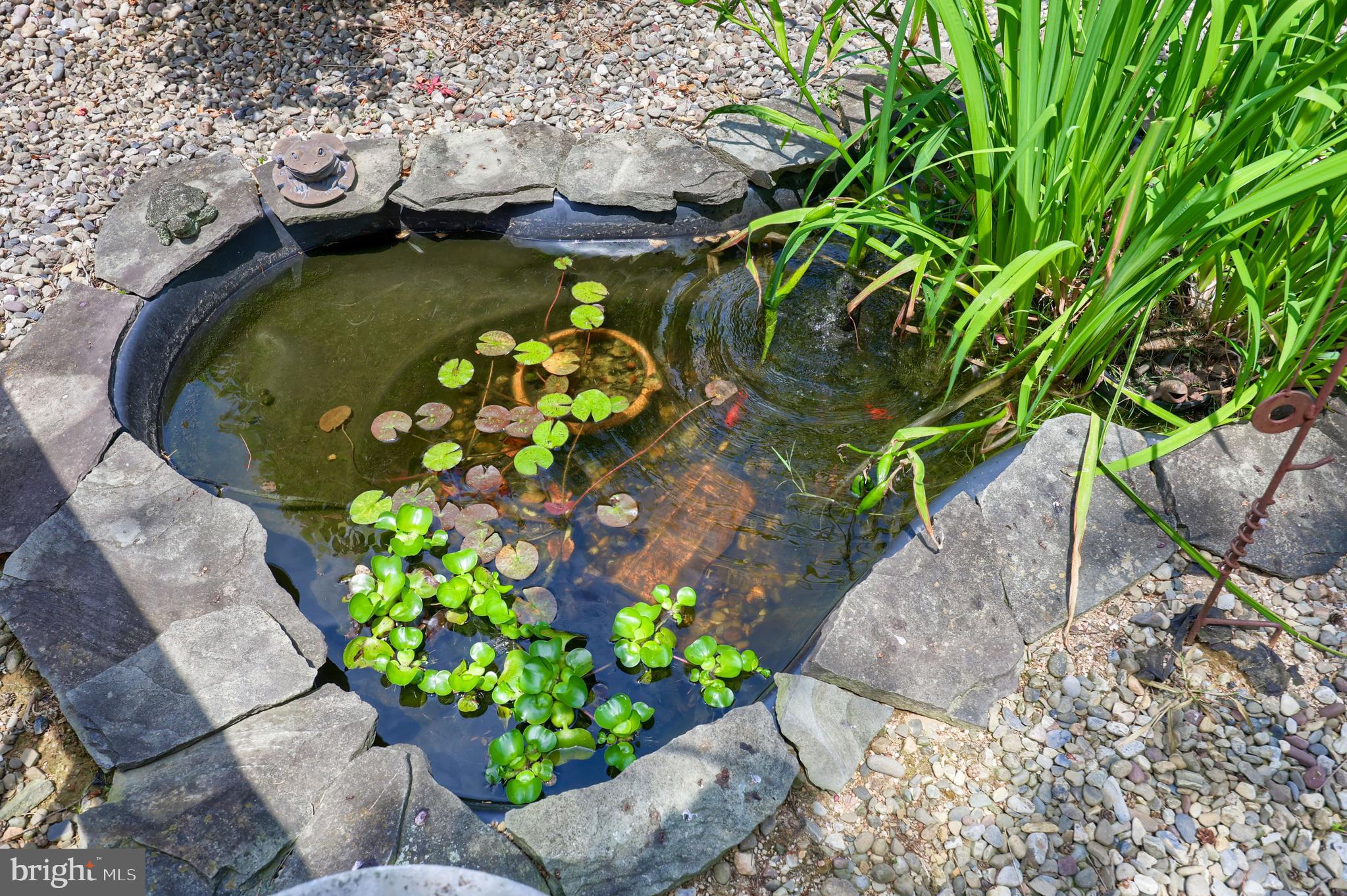 STURBRIDGE VILLAGE - Residential