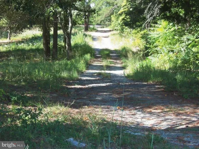 Additional image 2 of Balty Road, Ruther Glen, VA 22546