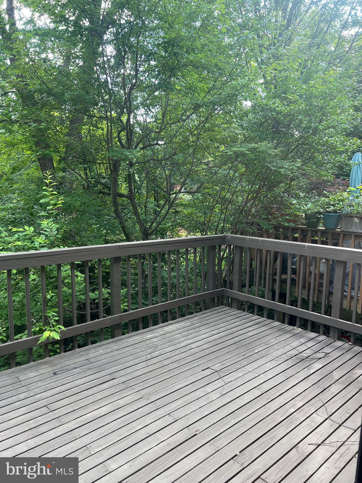 GOLF COURSE SQUARE - Residential Lease