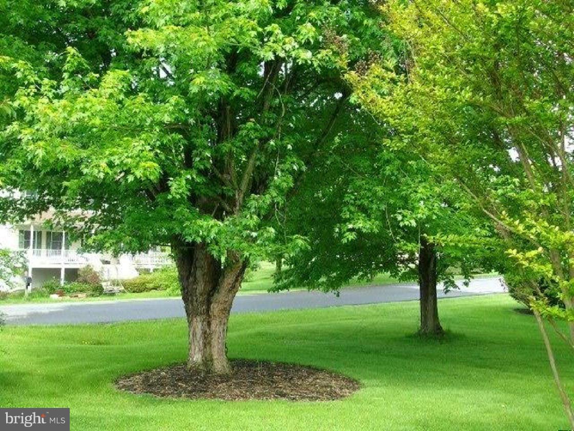 CRESTVIEW HGTS - Residential