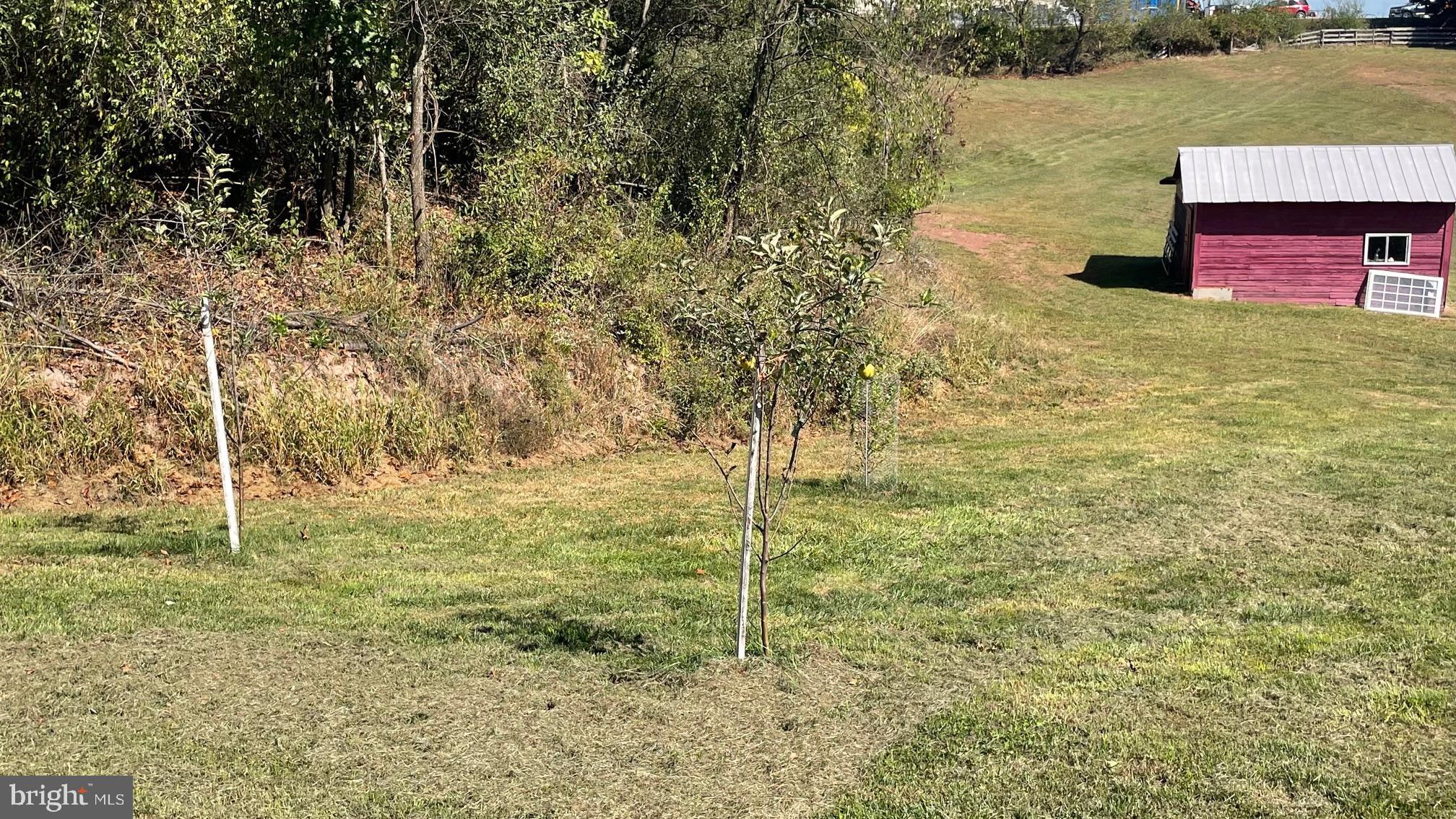 NONE AVAILABLE - Farm