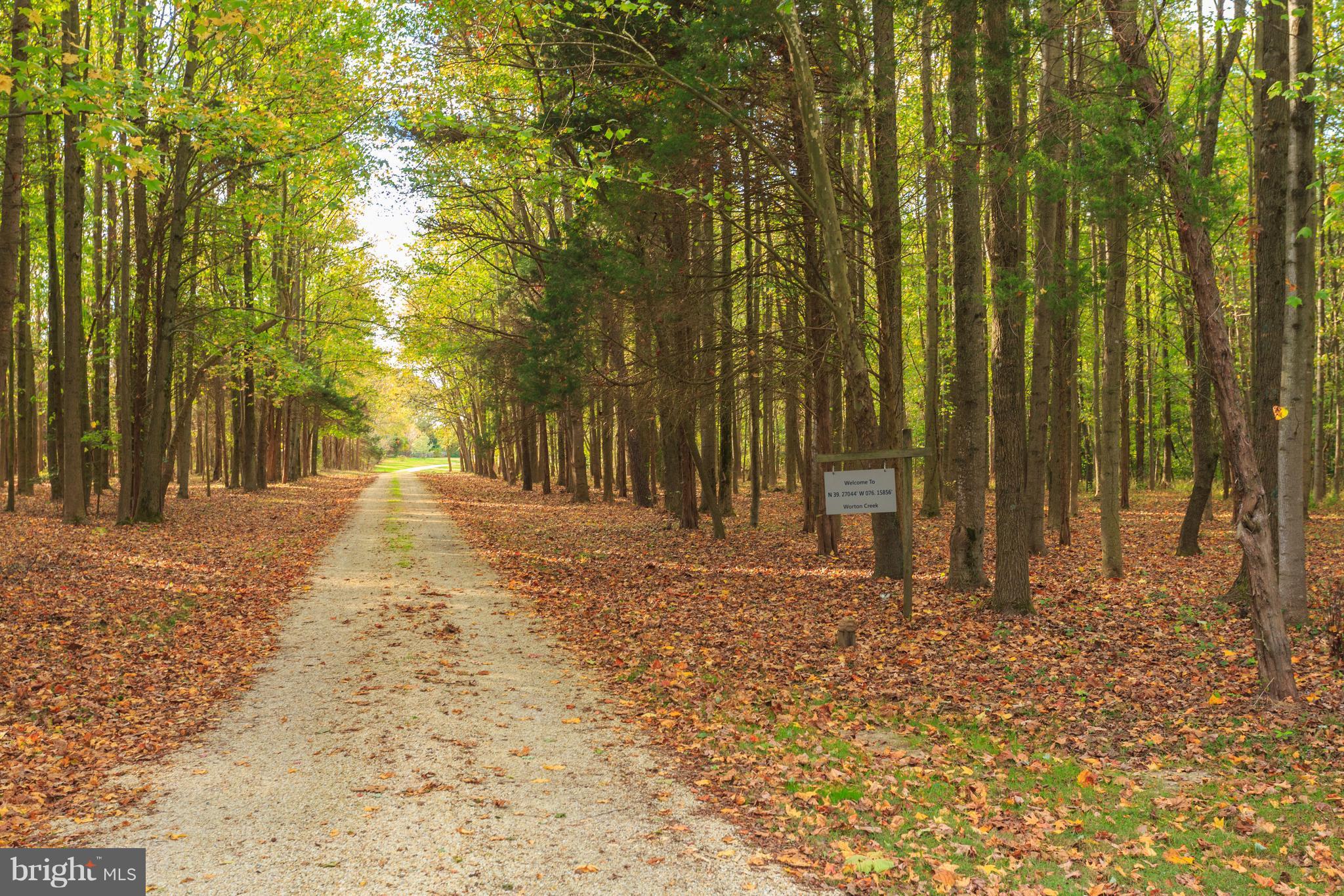 GREEN COVE - Residential