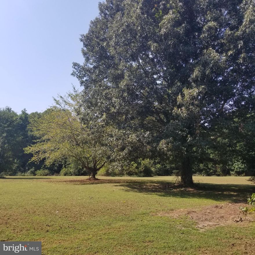 Beautiful 3.7 ac lot just outside of Denton on Rt 313.  Long road front 1,113 ft by 205 deep.  Perc approved for a 4 br home.  Some trees and some grassy area.  Picturesque stream runs along the south end of the lot.  Culvert for driveway in place towards the south end of lot.