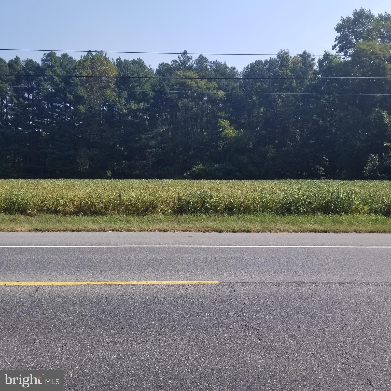 CHAPEL BRANCH - Land