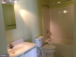 CANTON - Residential Lease