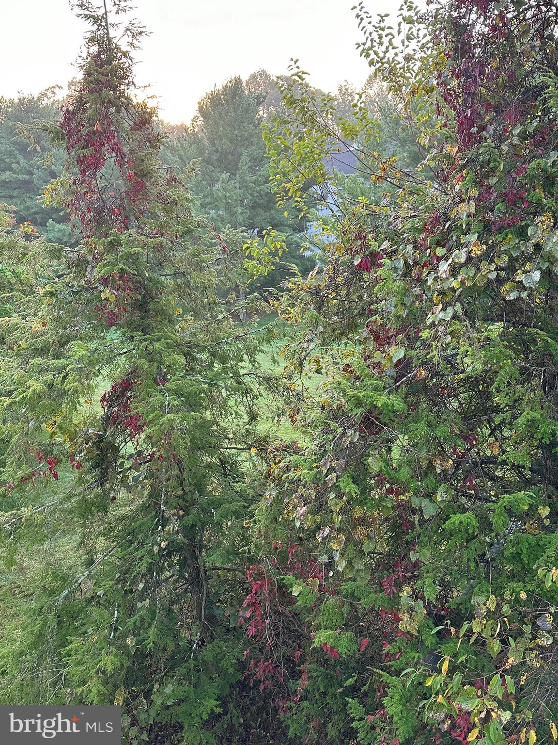 RED FOX FARMS - Residential