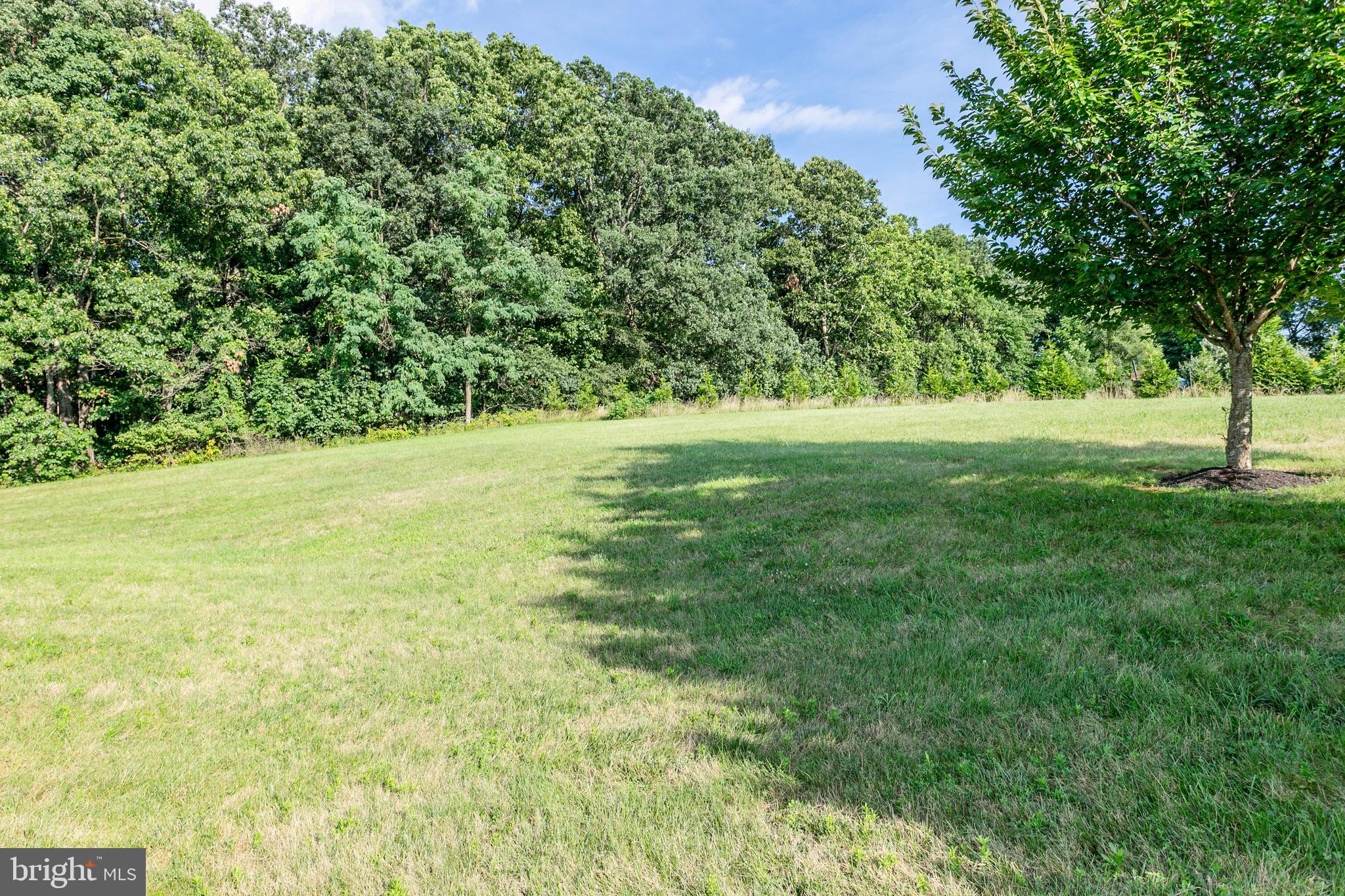 BEACON HILL - Residential