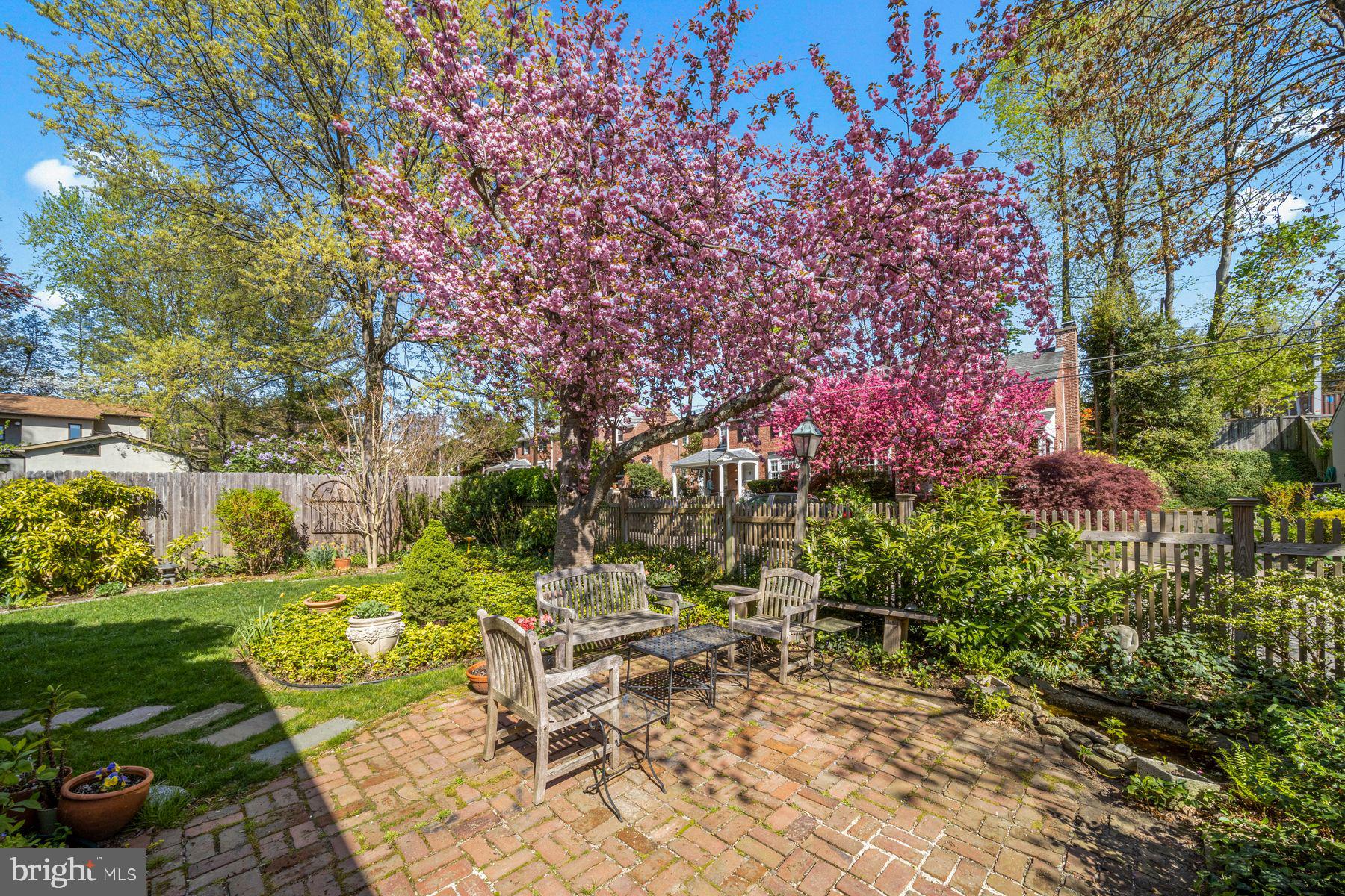 CHESTNUT HILL - Residential