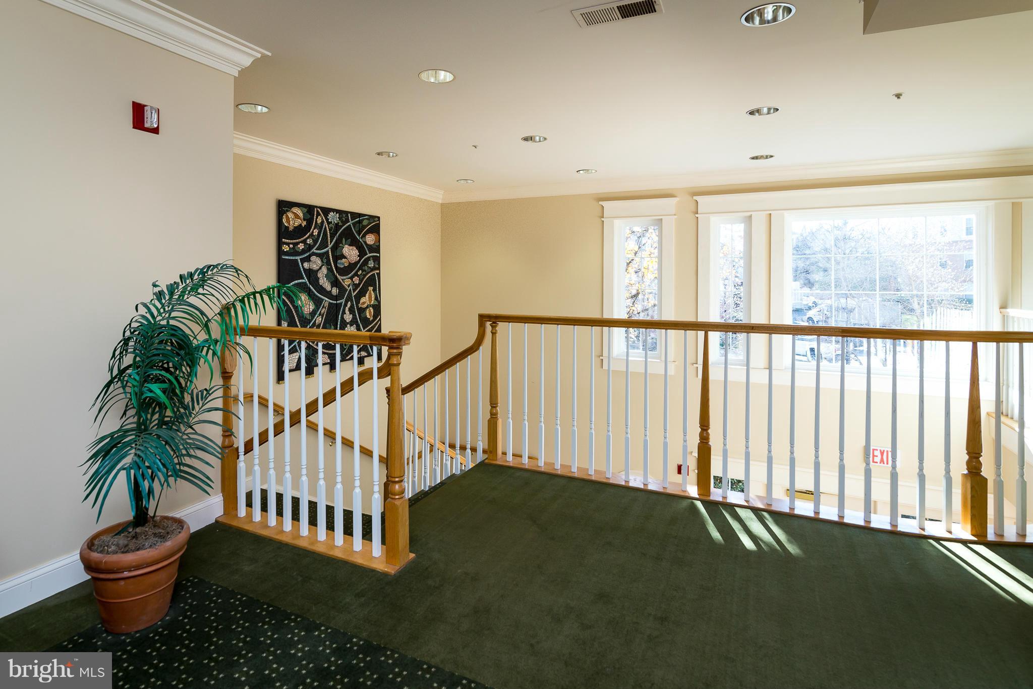 THE PAVILION - Residential