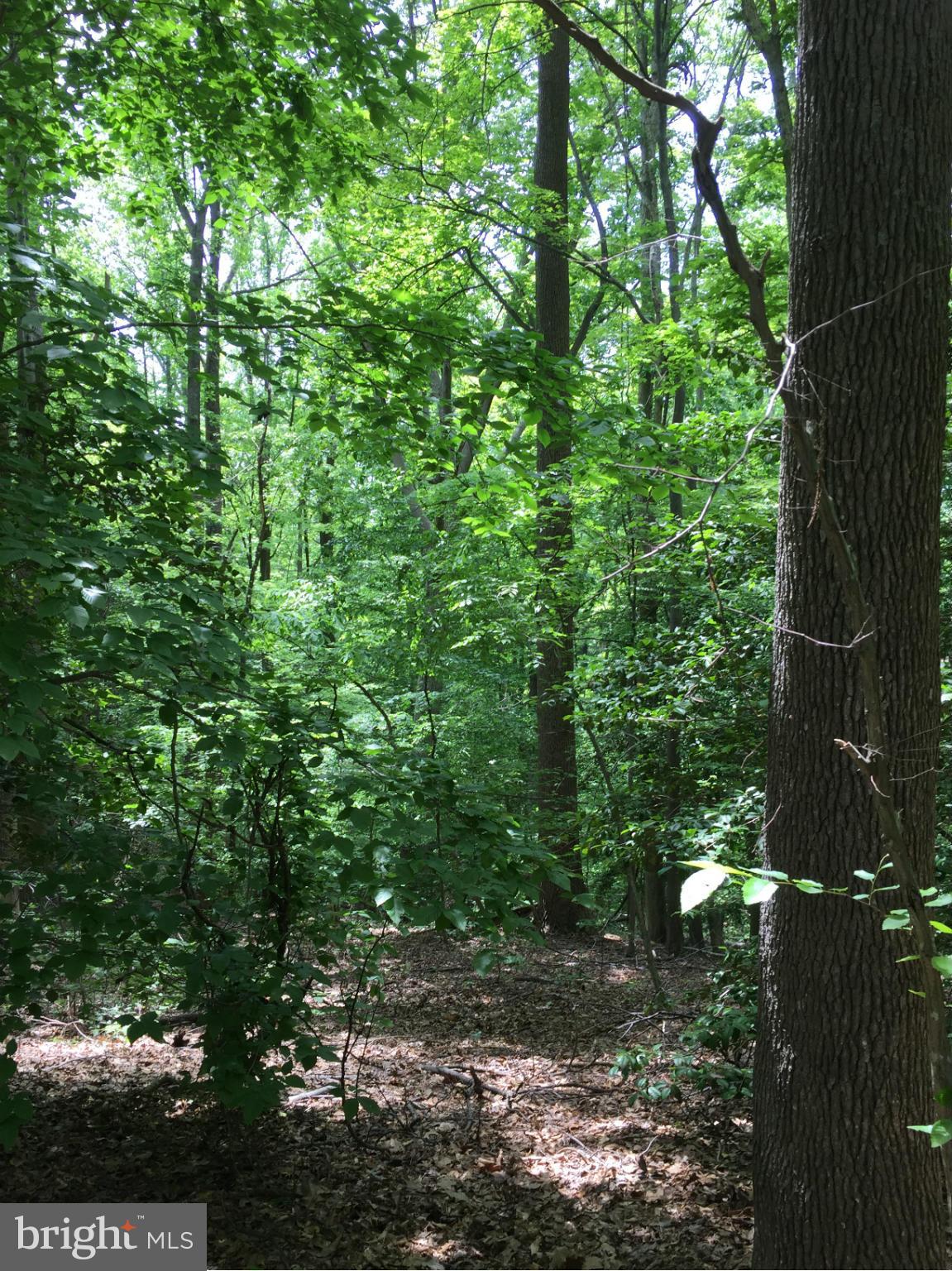 INDEPENDENCE SHORES - Land