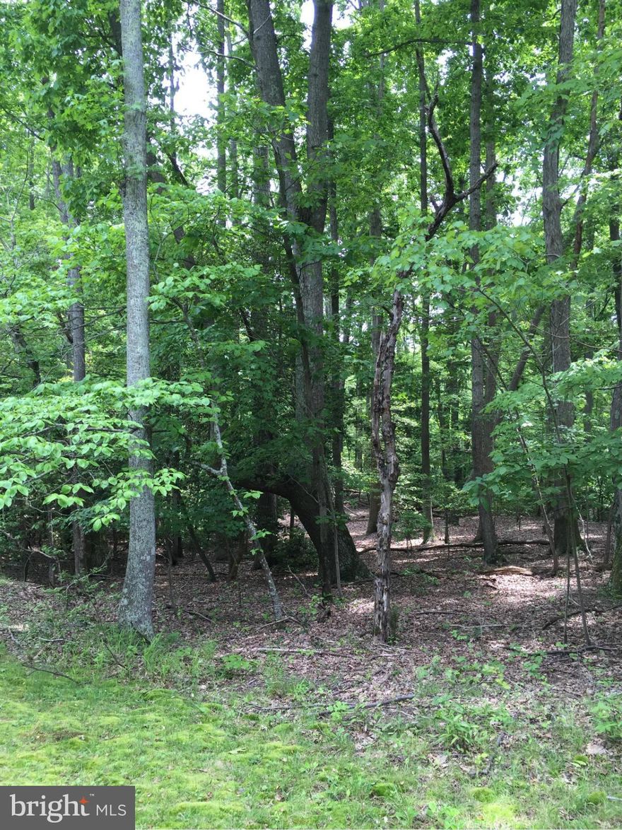 Adjoining Lots-57,58 sold together total 1.2 Acres and are located in Independence Shores/Stratford Harbour in a Cul de Sac. Build your Everyday Retreat or your Weekend Getaway! Wooded and in a water oriented community with Clubhouse, Tennis Courts, Outdoor Pool, Two Beaches, Private Lake and more!