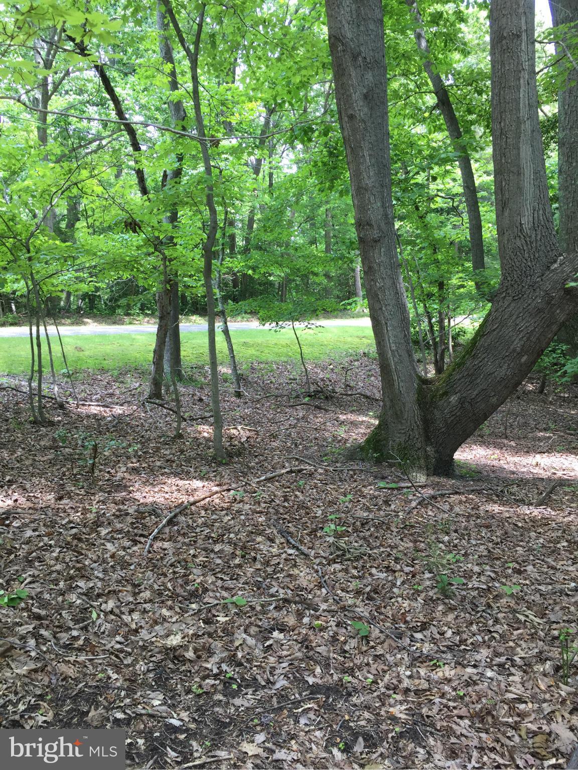 INDEPENDENCE SHORES - Land