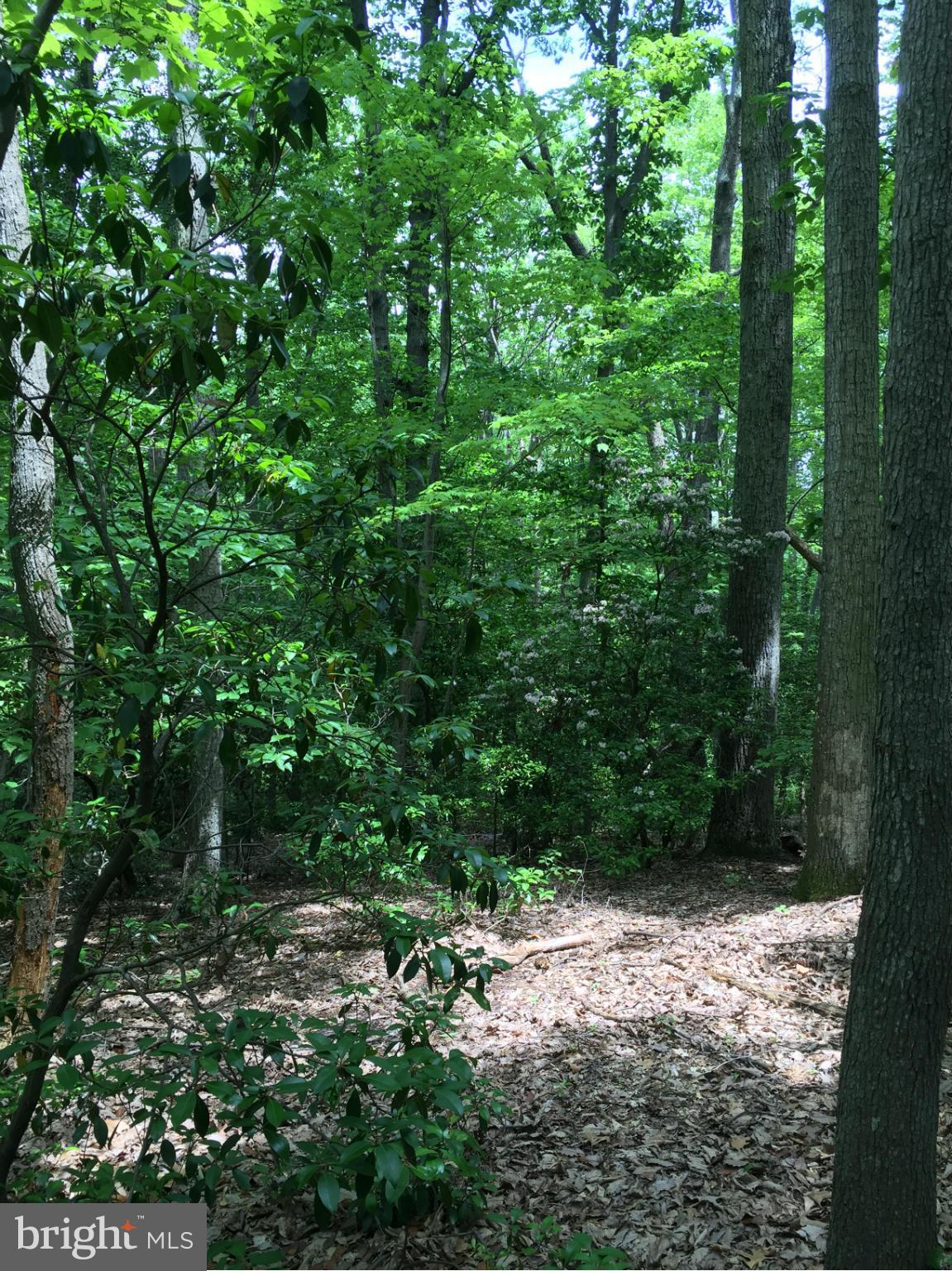 INDEPENDENCE SHORES - Land