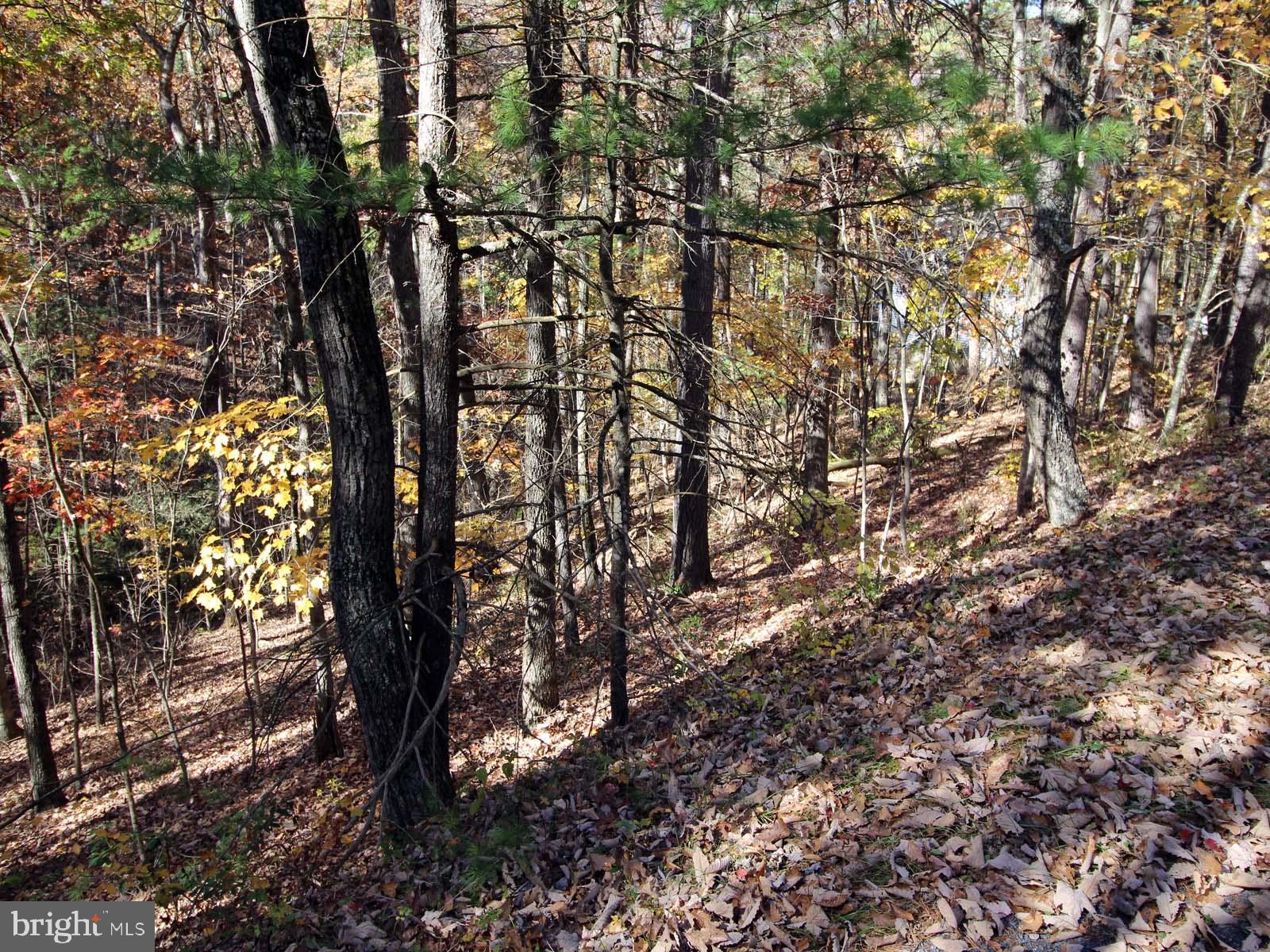 BRYCE  MOUNTAIN  RESORT - Land