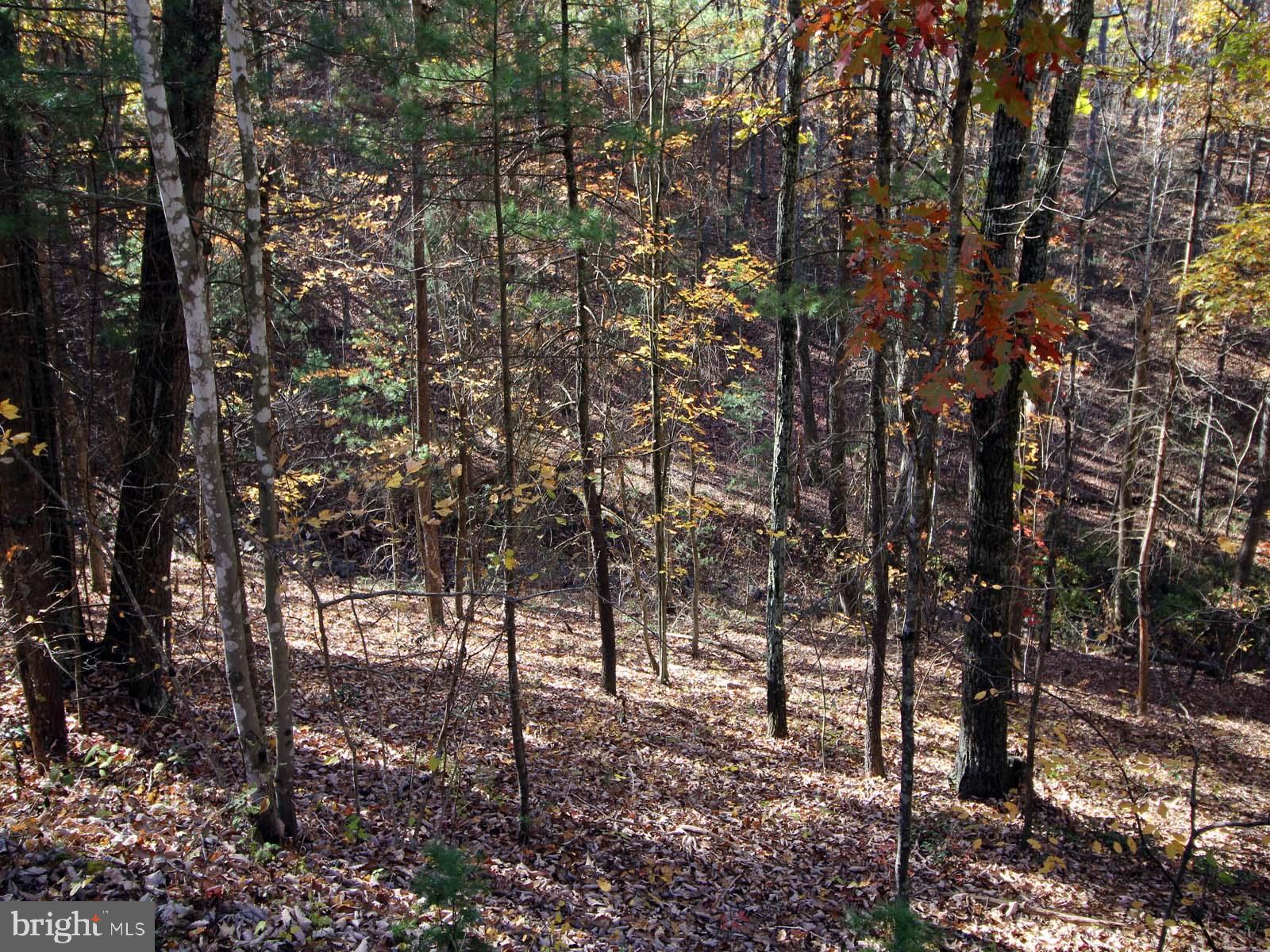 BRYCE  MOUNTAIN  RESORT - Land