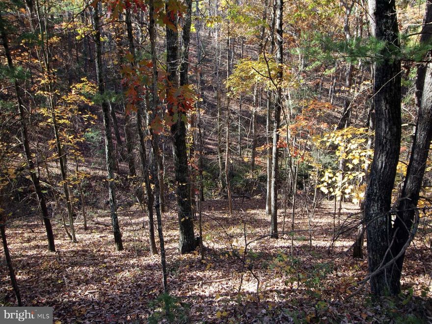 A great lot in a quiet part of Bryce Resort, not far from Lake Laura. This gently sloping lot is .306 acres and has water and sewer to the lot line. FYI, the adjoining lot, number 208, is also for sale. The two of them would make a great pair for your dream home. There are signs on both lots. Annual Taxes estimated.