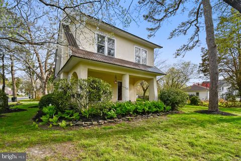 301 W MARKET STREET SNOW HILL MD 21863