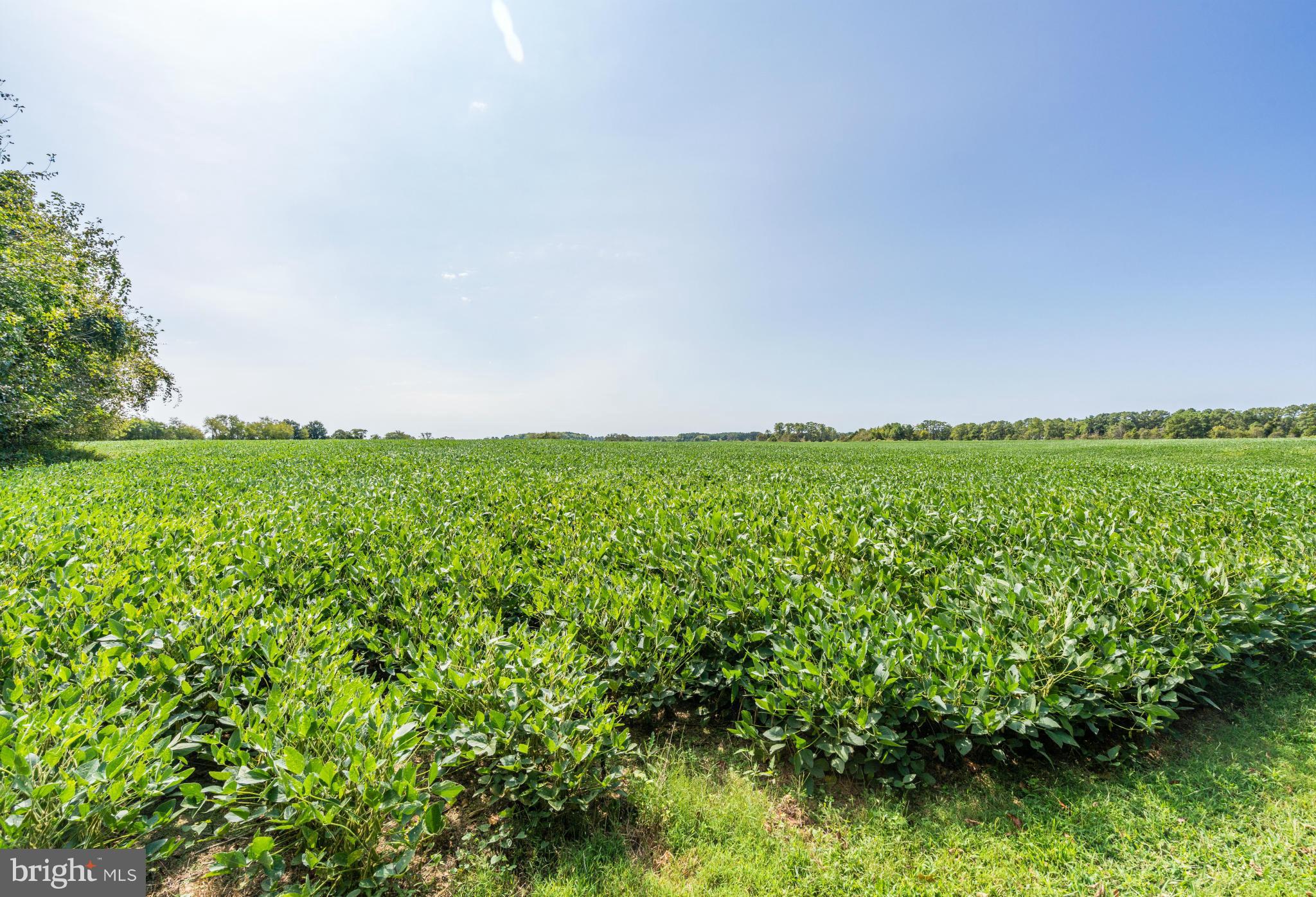 NONE AVAILABLE - Land