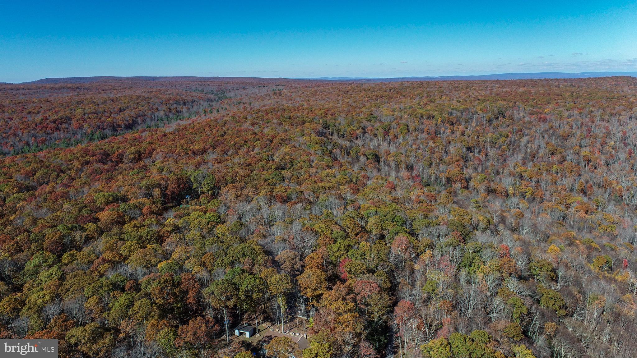 OLD POSSUM ROAD