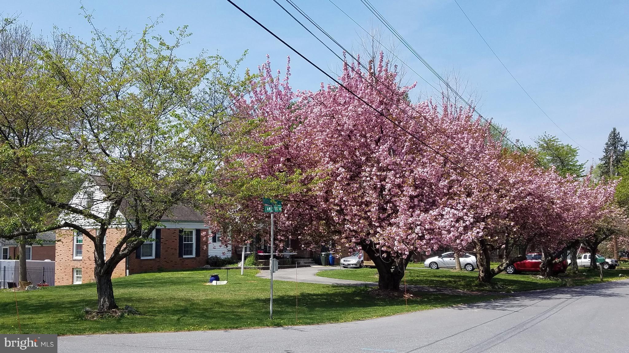 ROSEMONT - Residential