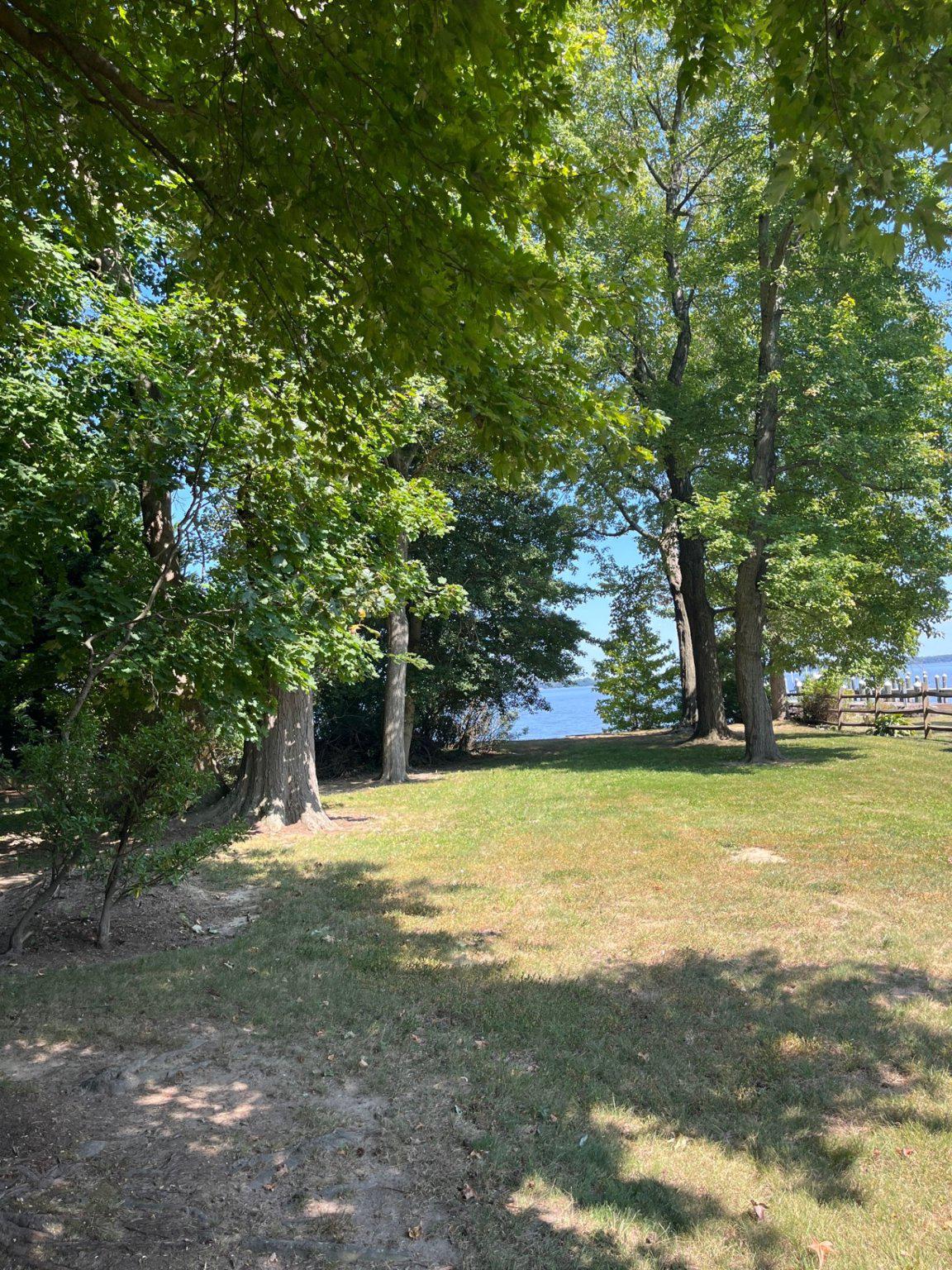 7038 Lot 141 Pt 142 GREENBANK ROAD