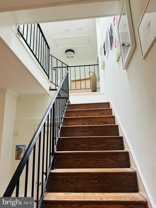 Additional image 65 of 2639 Woodley Place NW Unit A, Washington, DC 20008