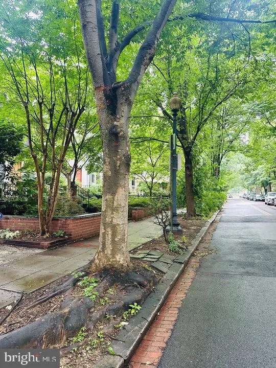 Additional image 53 of 2639 Woodley Place NW Unit A, Washington, DC 20008