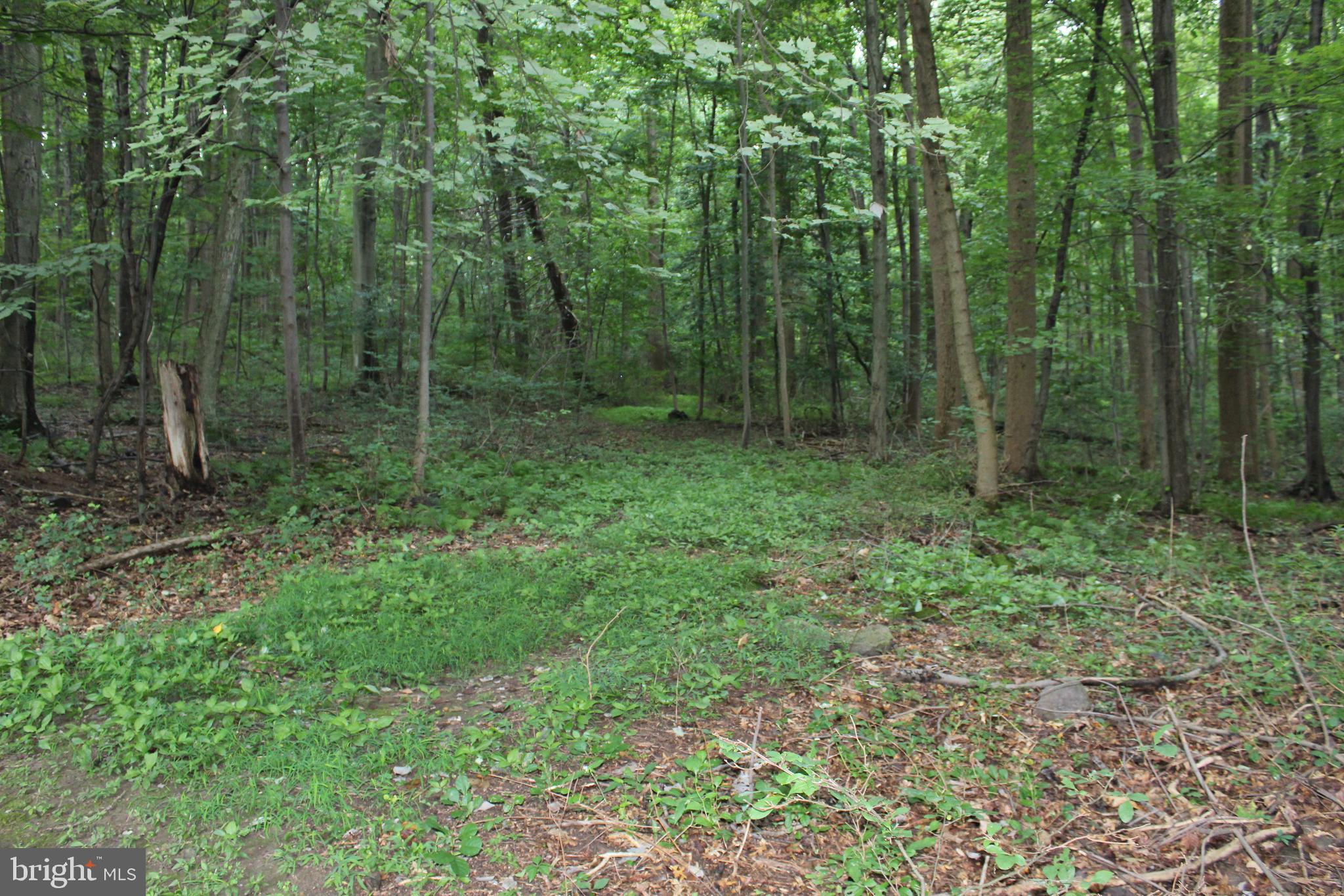 DERRY TOWNSHIP - Residential