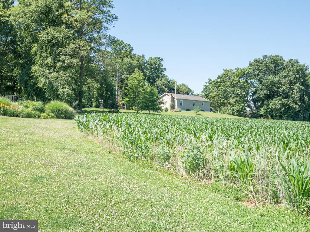 EAST DRUMORE TWP - Residential