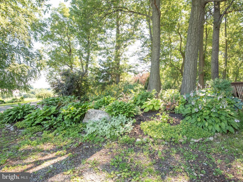 EAST DRUMORE TWP - Residential