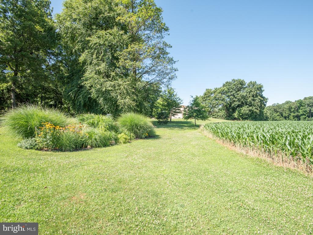 EAST DRUMORE TWP - Residential