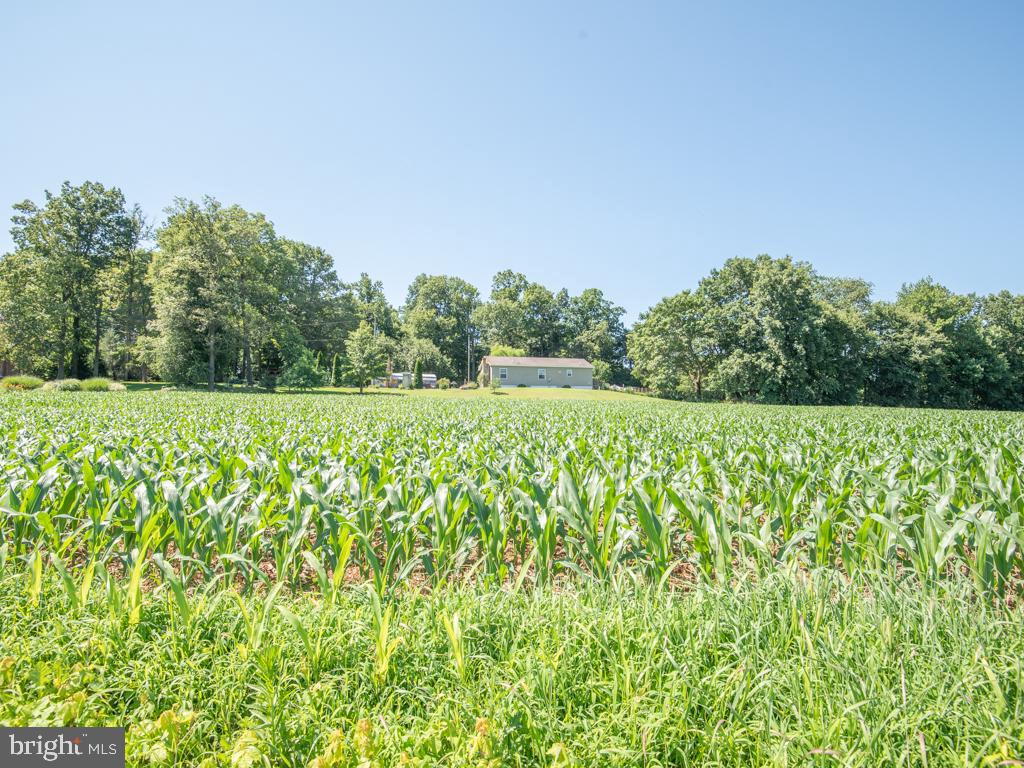 EAST DRUMORE TWP - Residential