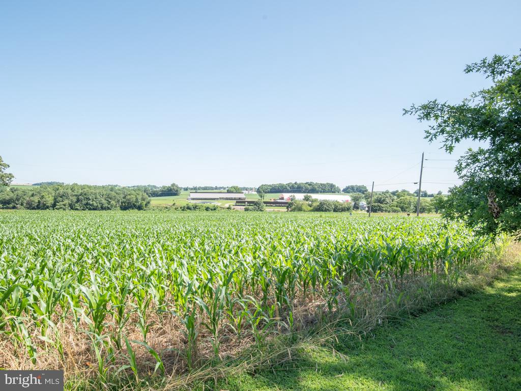 EAST DRUMORE TWP - Residential