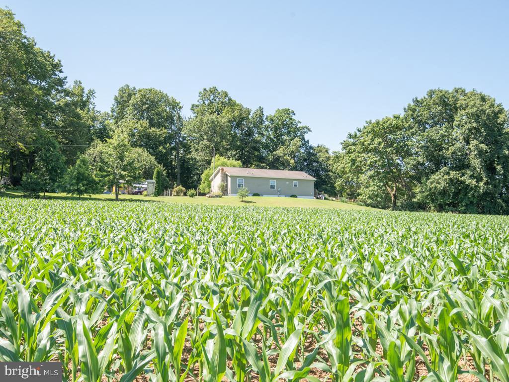 EAST DRUMORE TWP - Residential