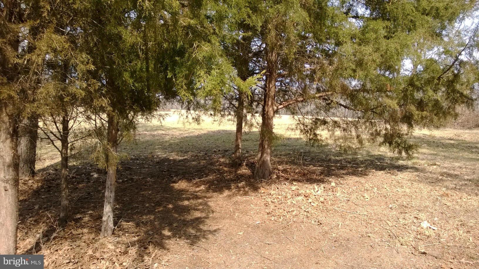 NONE AVAILABLE - Land