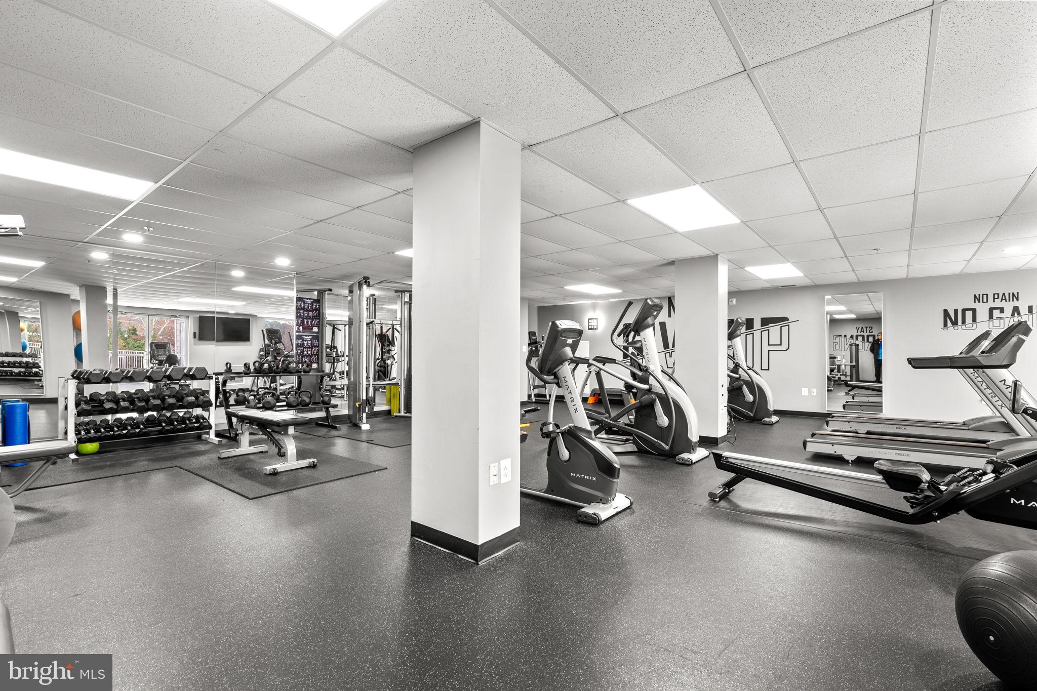 ISABELLA AT MONTICELLO MEWS - Residential