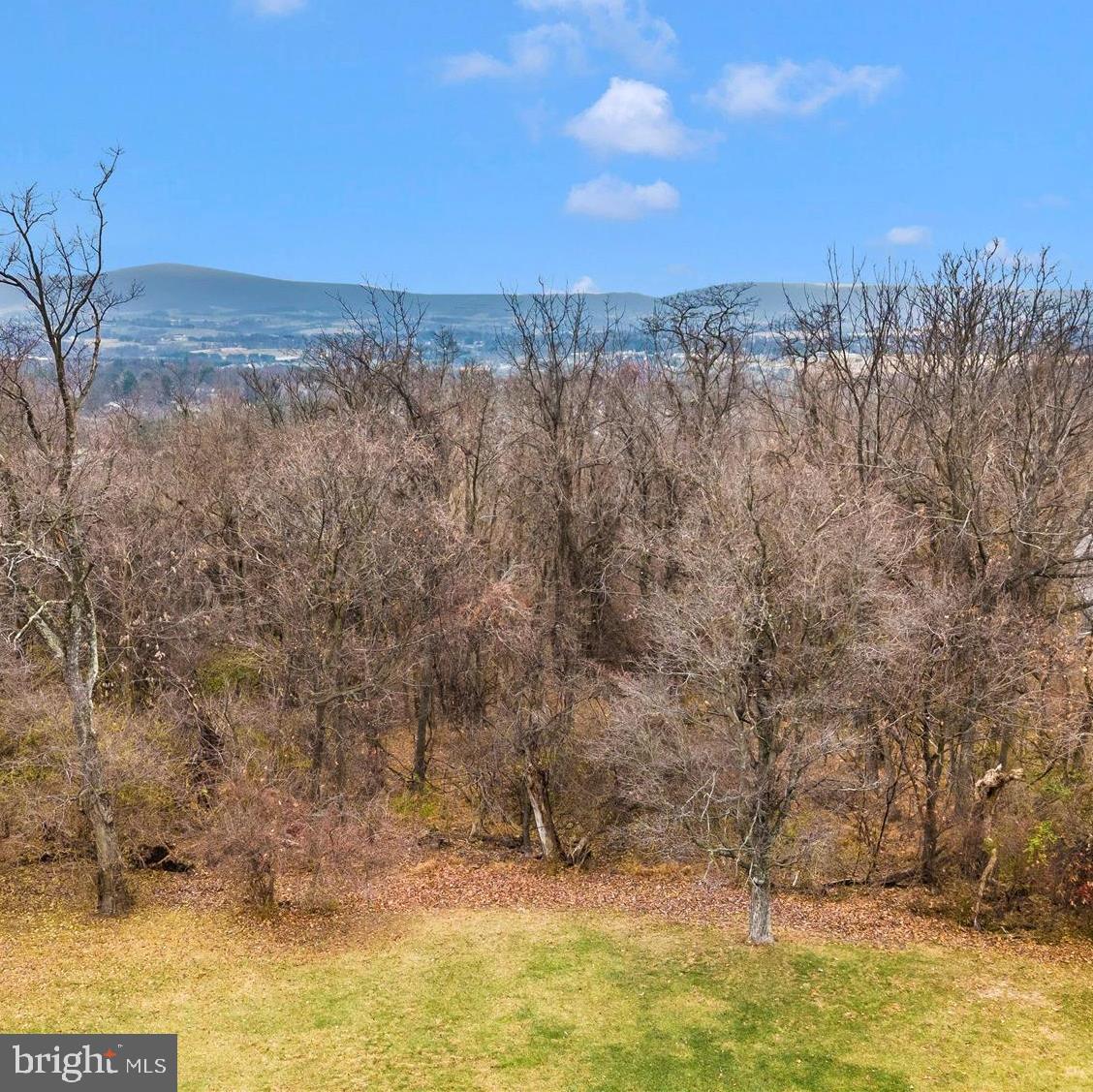 BRADDOCK HEIGHTS - Residential