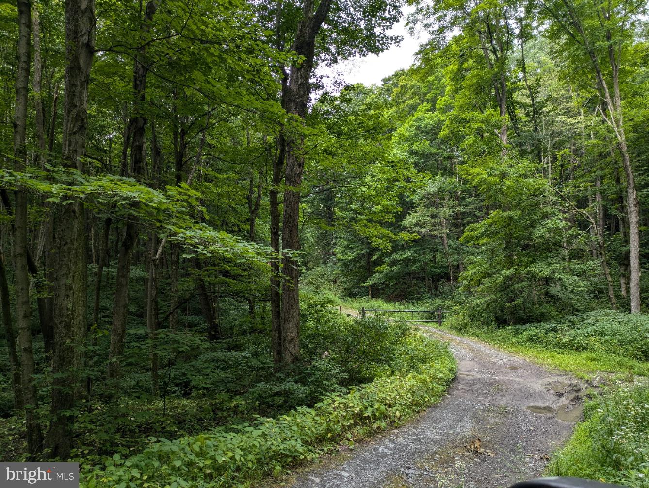 0 BERKEY HOLLOW ROAD