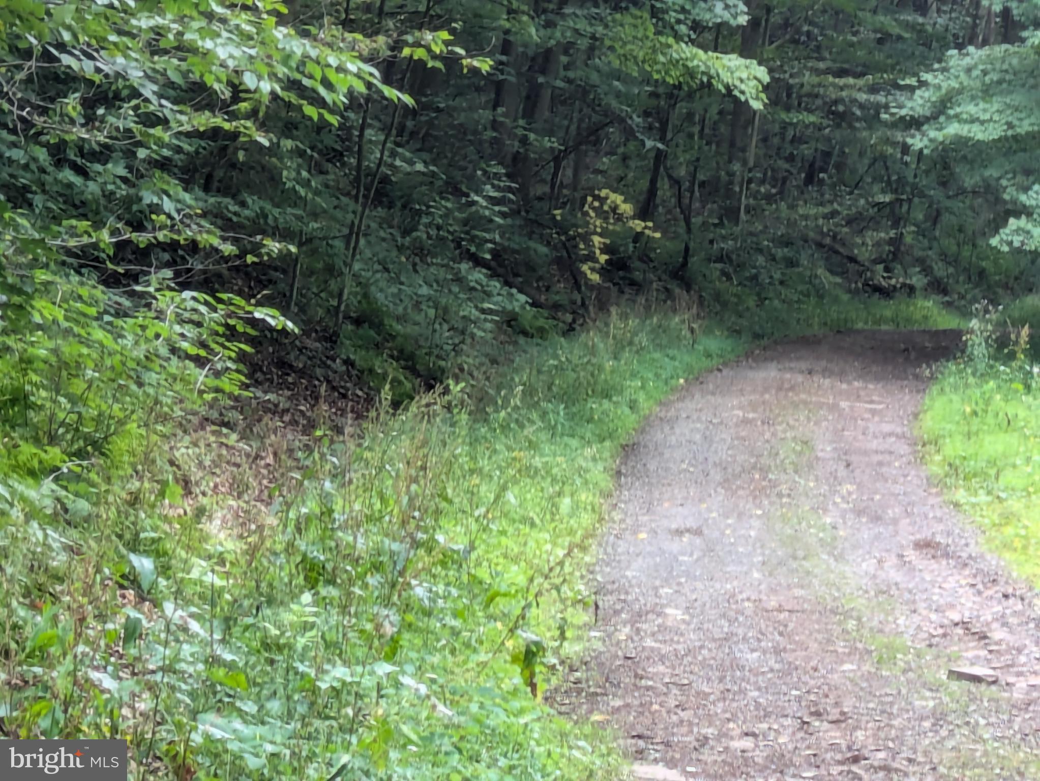 0 BERKEY HOLLOW ROAD