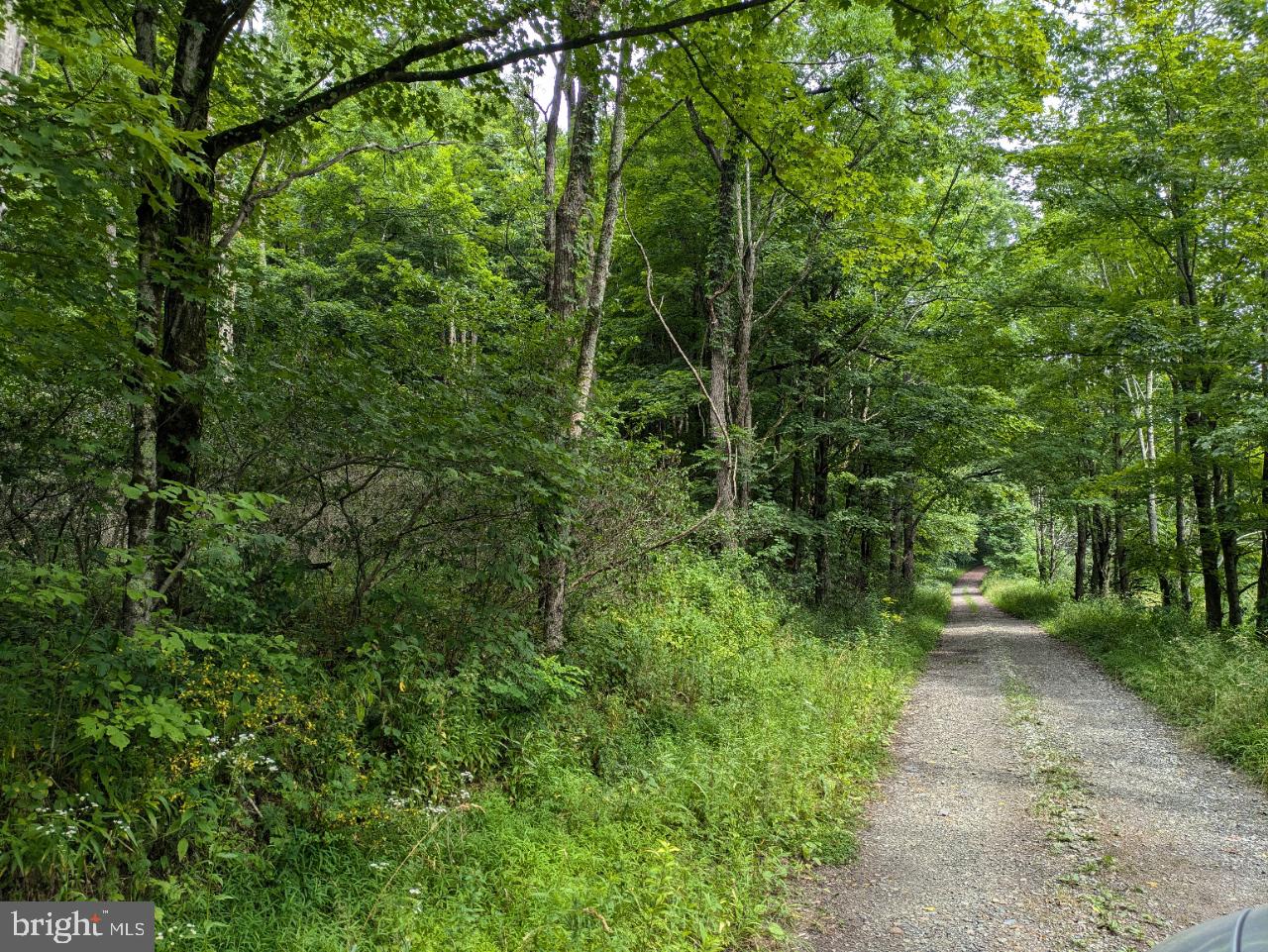 0 BERKEY HOLLOW ROAD