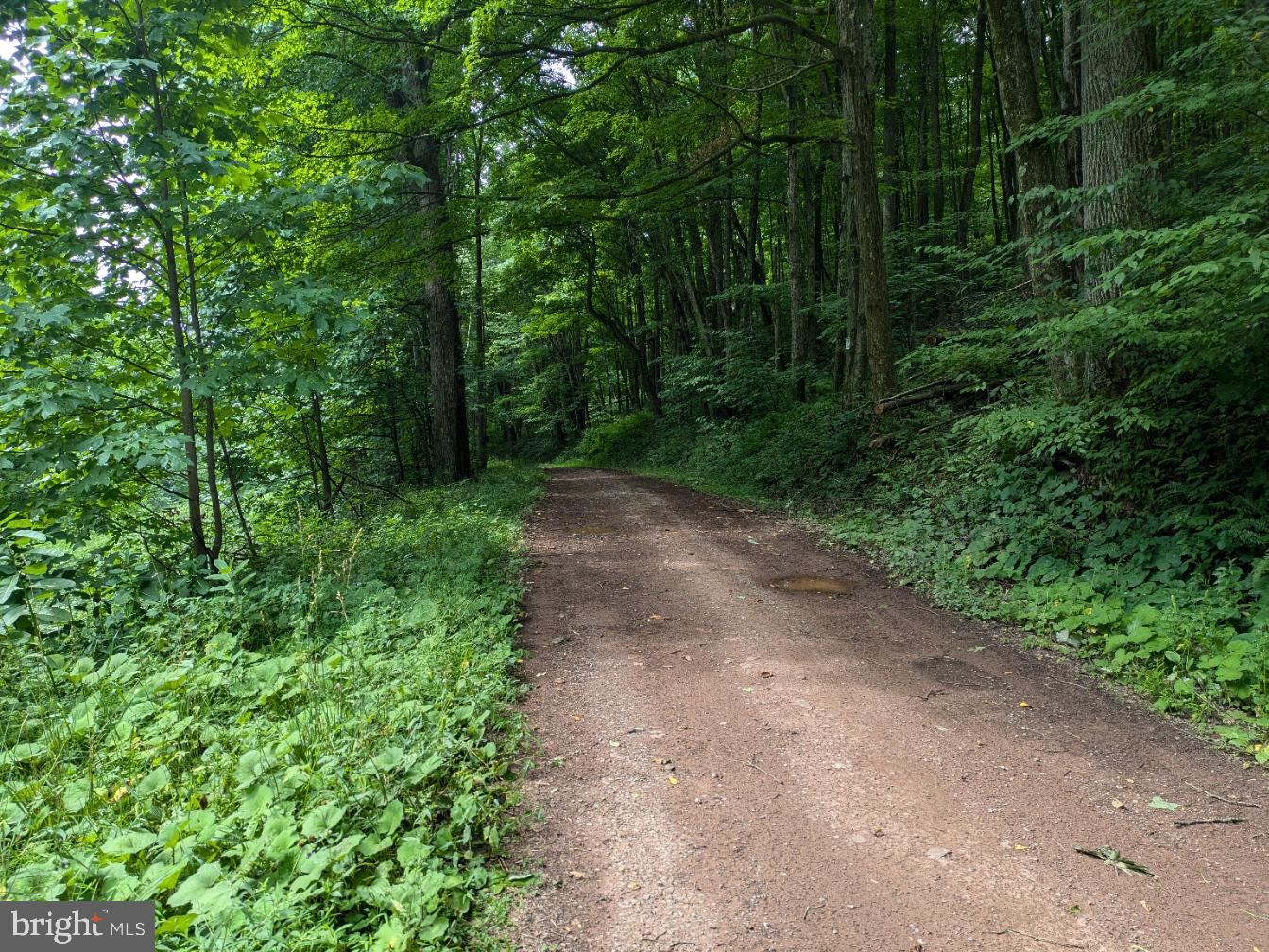 0 BERKEY HOLLOW ROAD