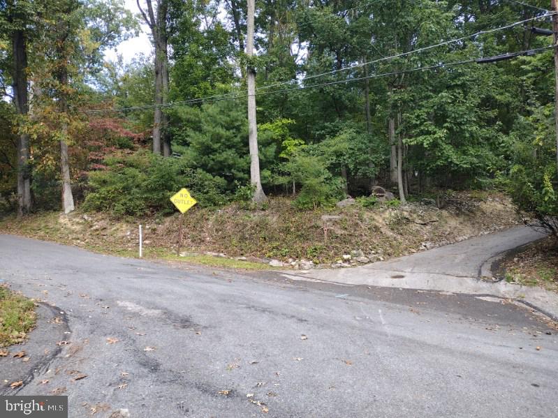 Nestled above Red Run Park, this wooded lot is now available! Bring your builder and build a hillside retreat or fulltime home.