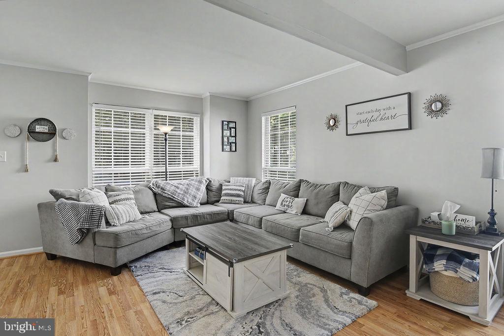 24 DOVETREE DRIVE